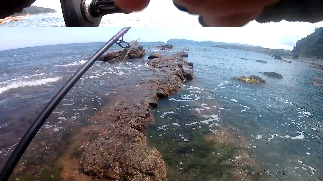 Arribolas 3