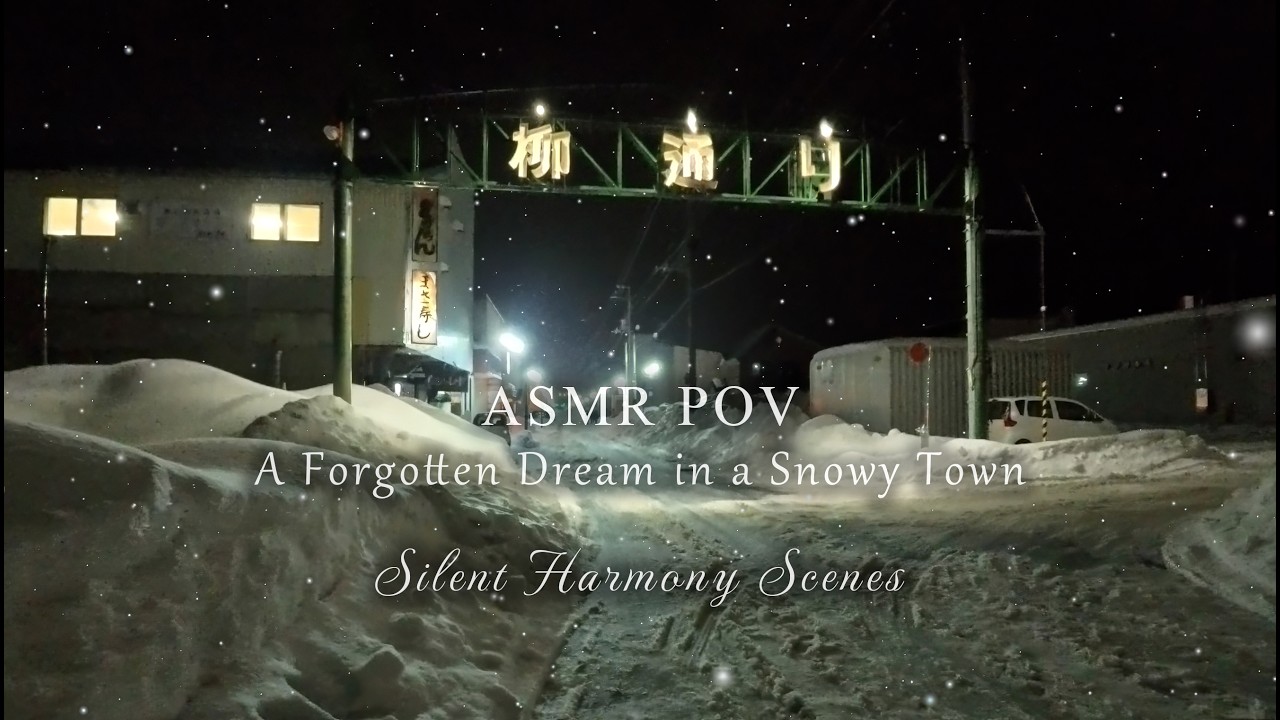 Snowy Liminal Space: Walking Through a Deserted Entertainment District [POV ASMR]