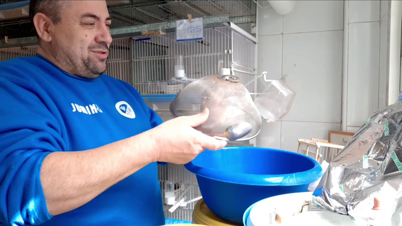 Pasta de cria 2020