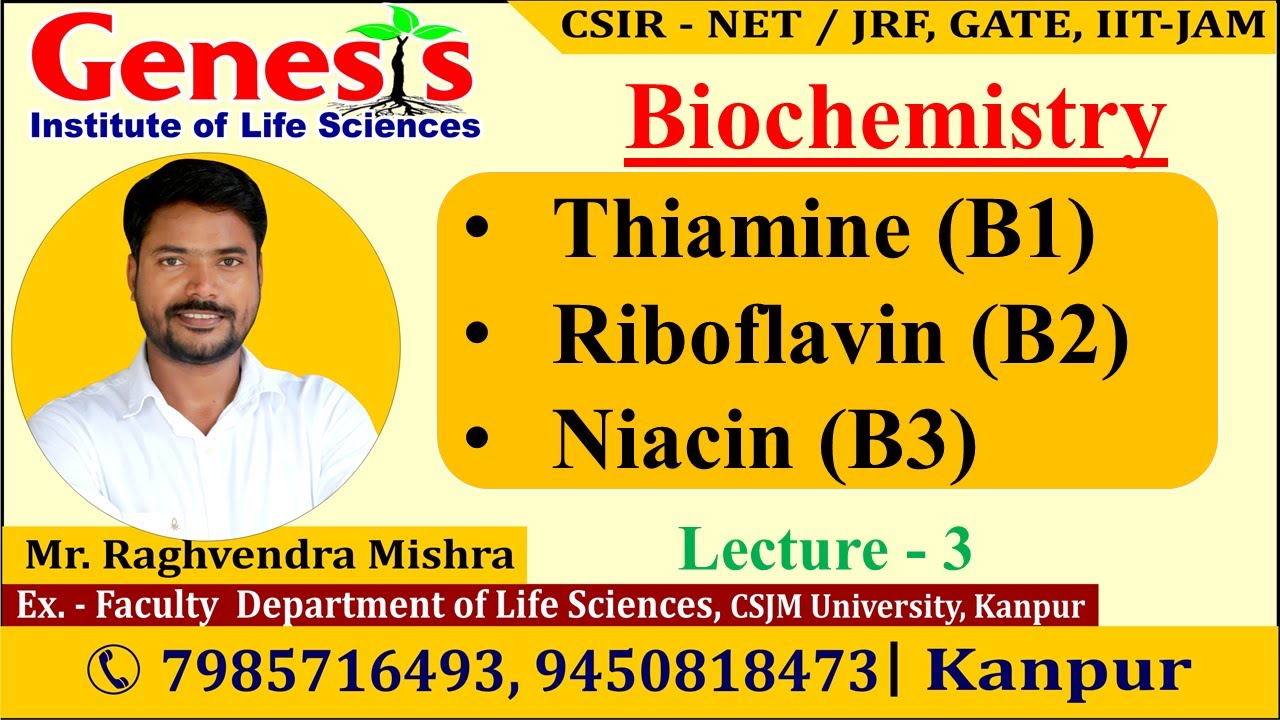 Vitamin B1 | Vitamin B2 | Vitamin B3 | Lecture-3 | New online 