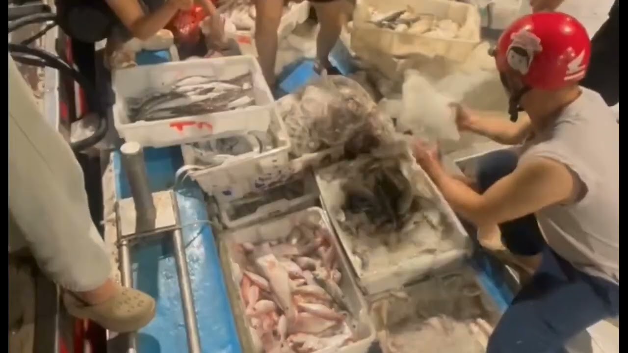Cận cảnh chuyến đi biển thứ hai trong năm #@Trân Nguyên 77 vlog #.
