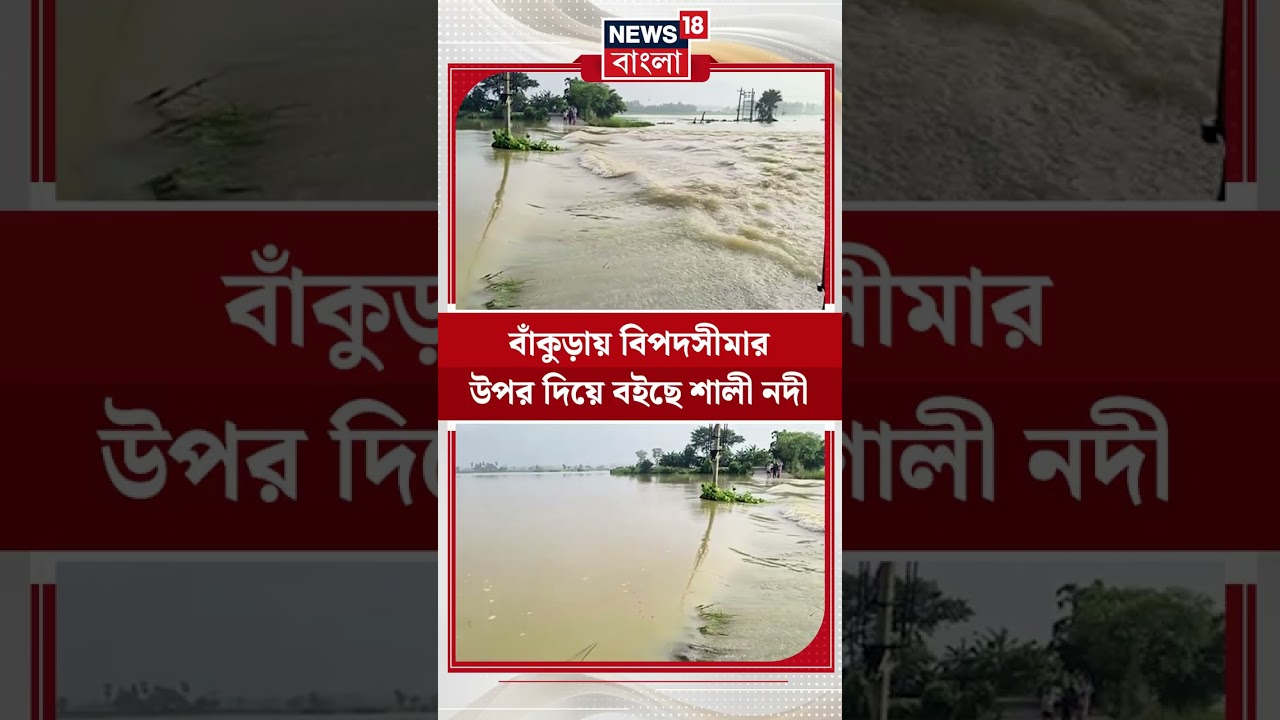 Bankura-য় বিপদসীমার উপর দিয়ে বইছে শালী নদী | #shorts