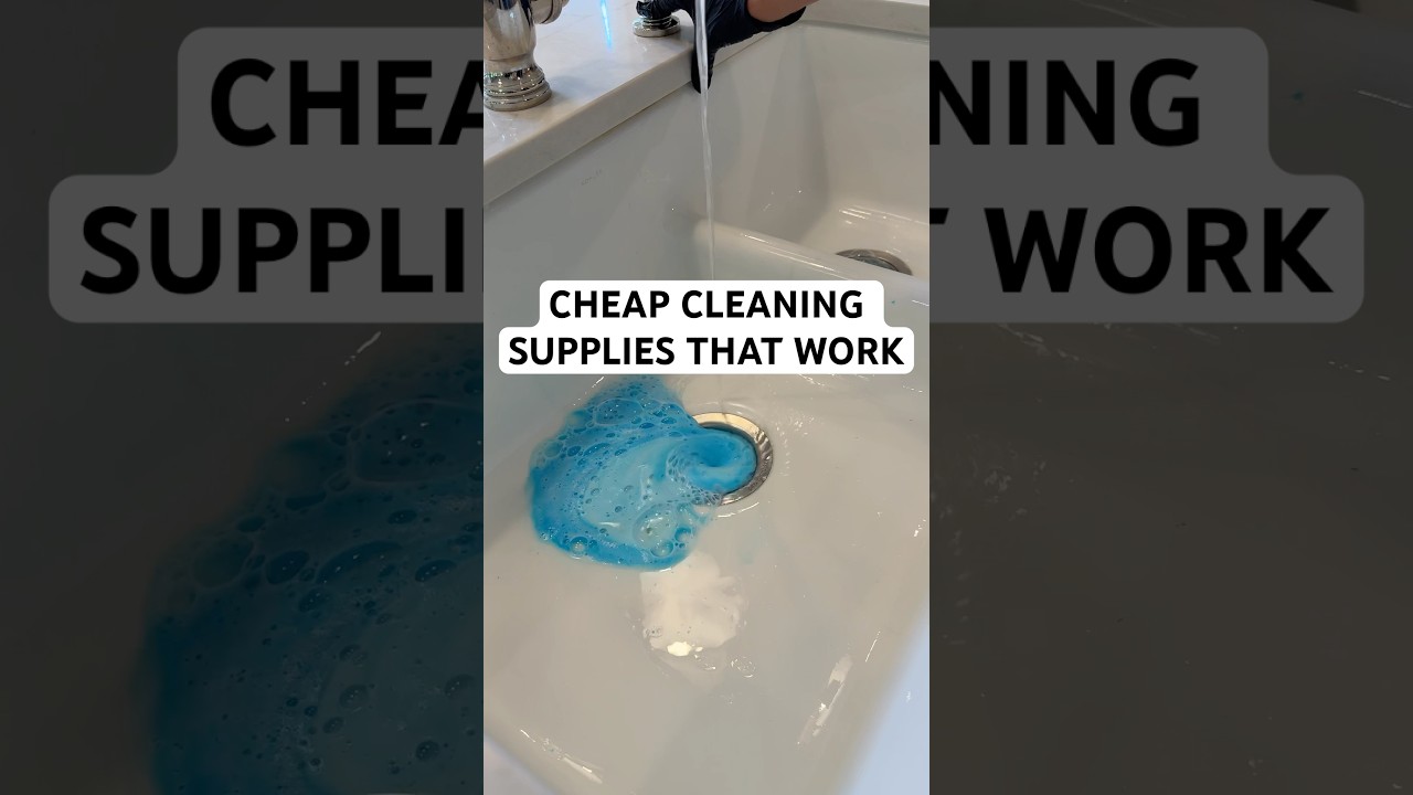 supplies I recommend from @dollartree  as a pro house cleaner. #dollartreehaul #dollartreefinds