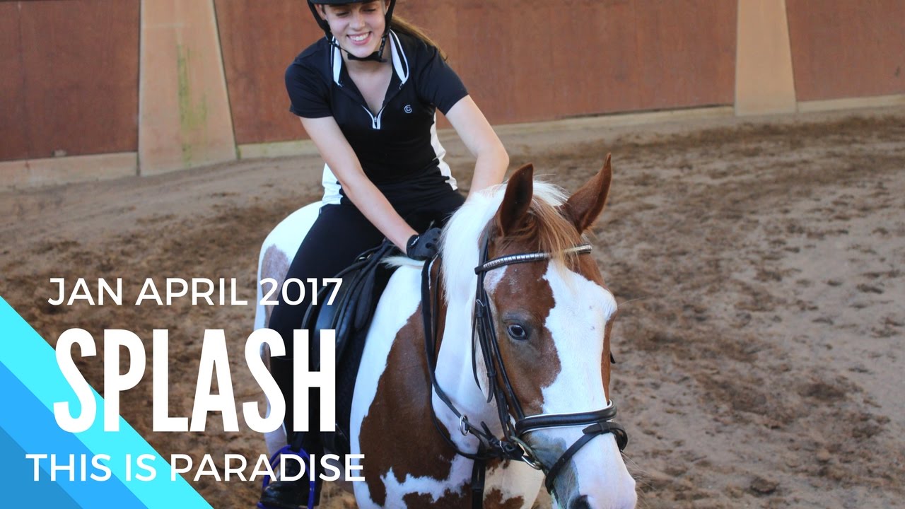THIS IS PARADISE | SPLASH | 2017