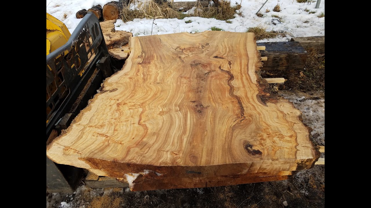 Siberian elm burl sawmilled into Slabs