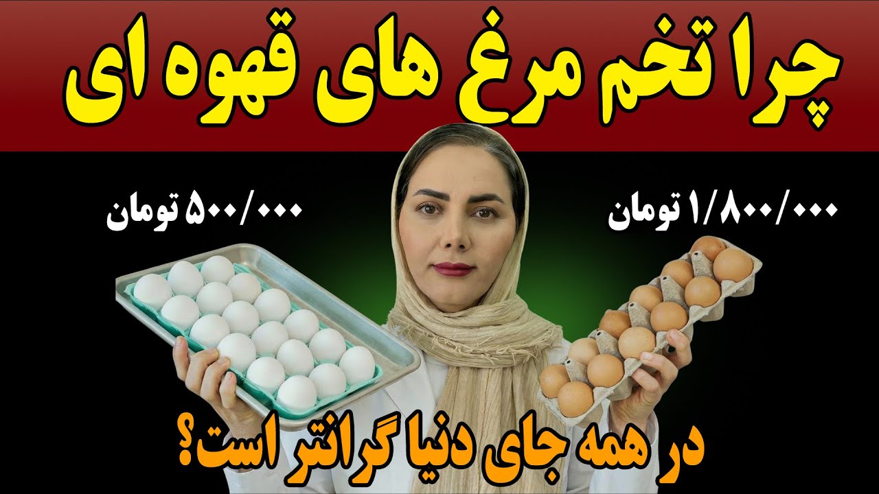 تفاوت واقعی تخم مرغ  قهوه ای در مقابل تخم مرغ سفید! آیا این گرانی واقعا ارزشش را دارد؟