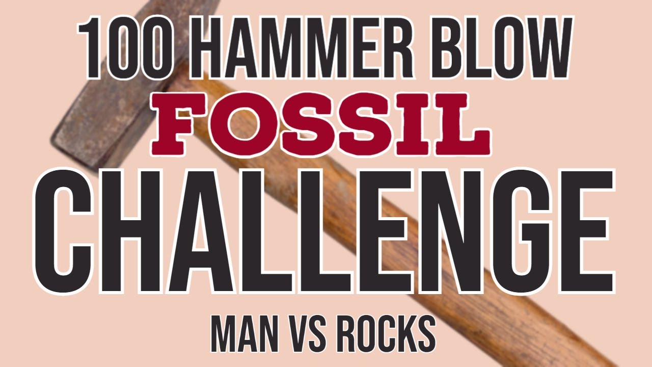 100 Hammer Blow Fossil Challenge   Church Cliffs Lyme Regis