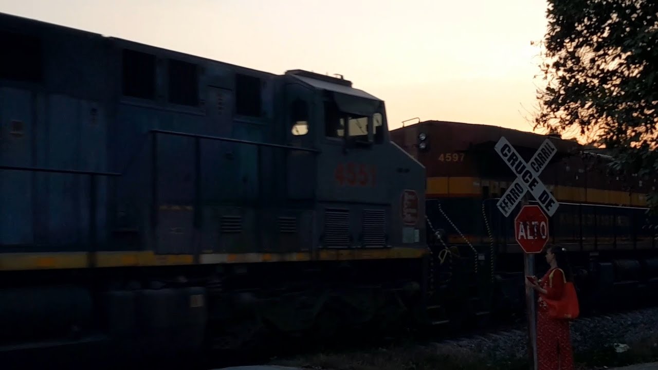 Tren Miselaneo Llegando a Valles, Maquinista Pitandole a un Vato Qué iba En Medio de Las Vias
