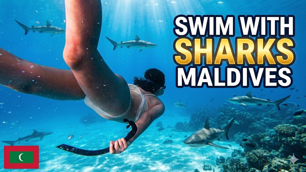 SWIMMING WITH SHARKS IN MALDIVES