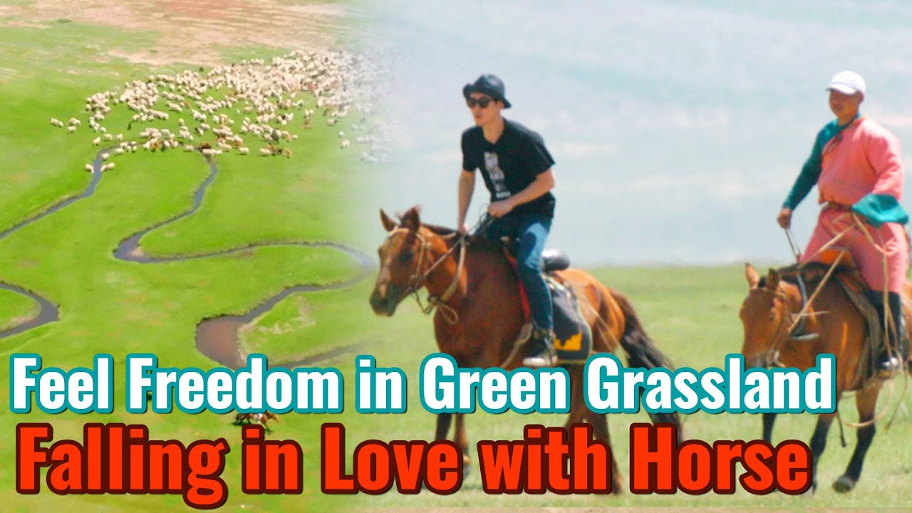 Jang Hyuk Riding a Horse Feeling Freedom in the Mongolian Grasslands 🏇