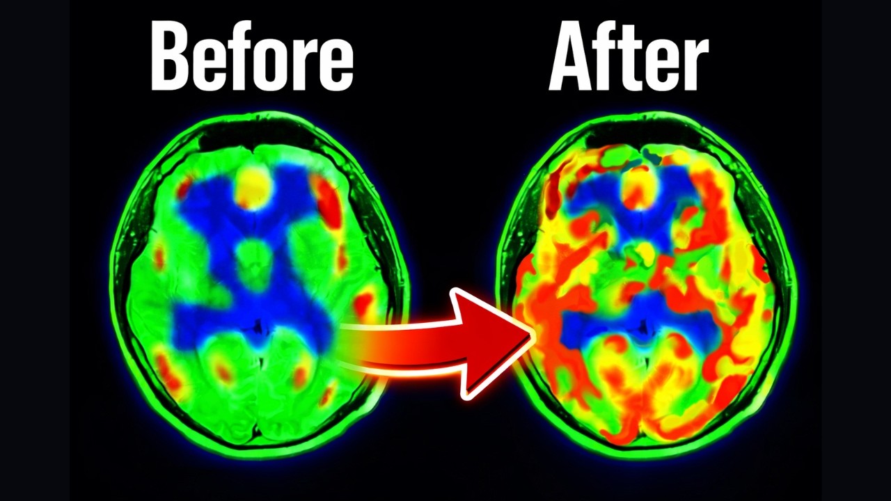 1 In 3 People Has ADHD Today ¿Do You Also Have It?