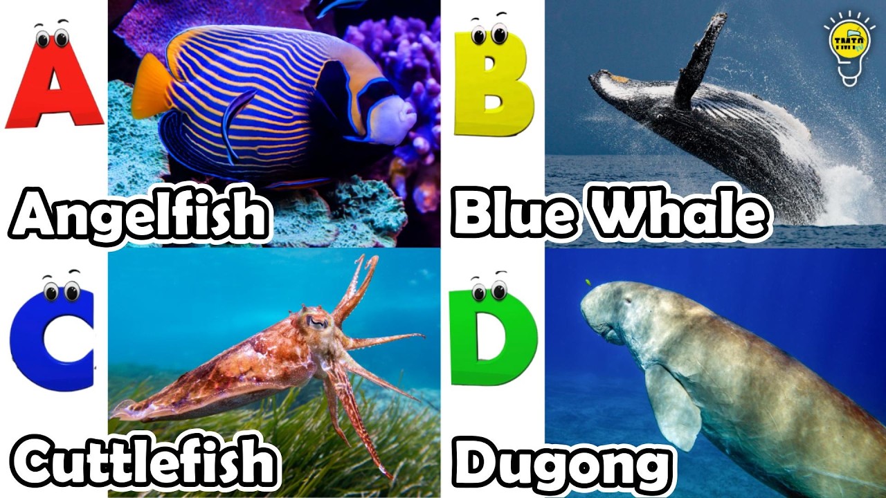 ABC phonics animals | ABC Sea Animals song | English and Animals for Kids #angelfishs