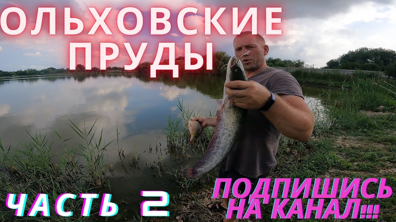 Рыбалка: Ольховские Пруды Часть 2