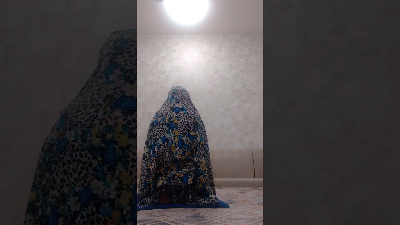 ١١ فبراير ٢٠٢٦