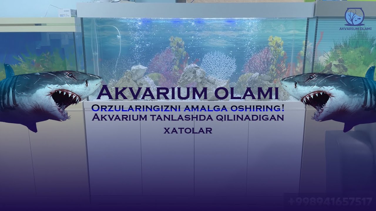 Qanday qilib akvarium tanlash kerak, Nimalarga ahamiyat berish kerak ? #akvarium #fishtank #aquarium