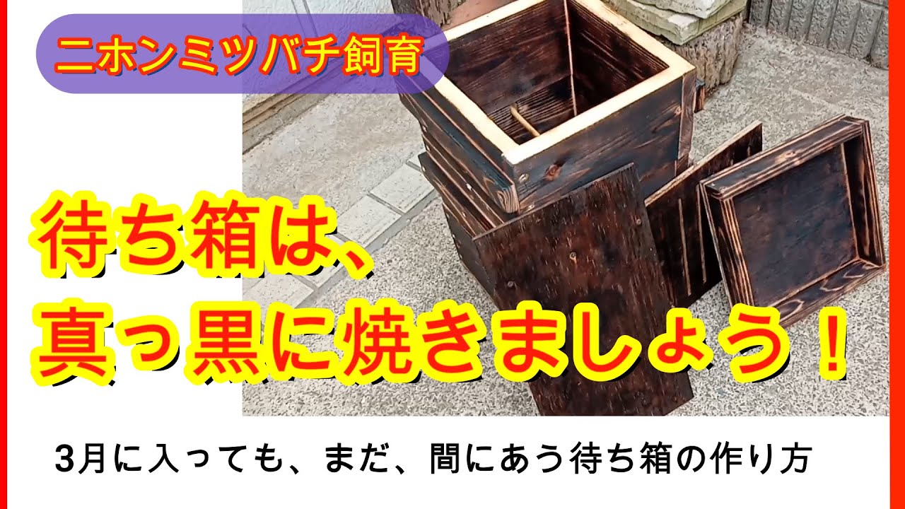 【趣味のニホンミツバチ養蜂】ニホンミツバチの分蜂時期が始まっても、まだ、間に合う待ち箱の作り方。