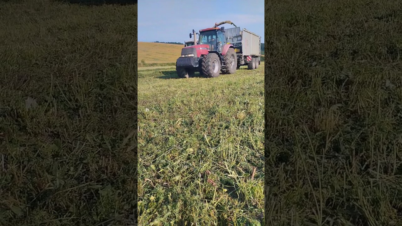 CASE IH MX 285 + Fliegl GIGANT ASW 271 + Claas Jaguar 870