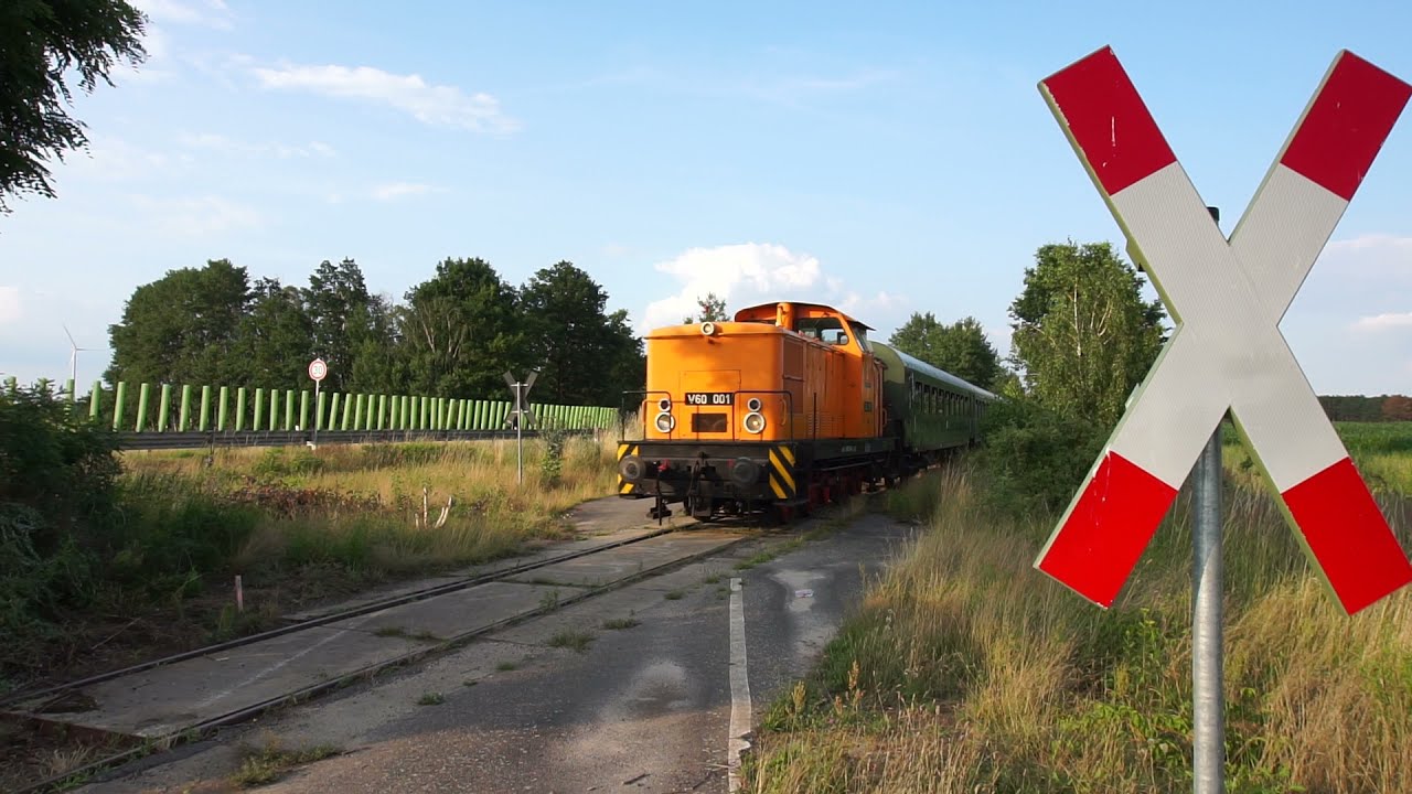 Sonderzugfahrten zur Luckauer Kahnnacht! V60 Goldbroiler zwischen Luckau↔Lübben, DDR Feeling Pur!