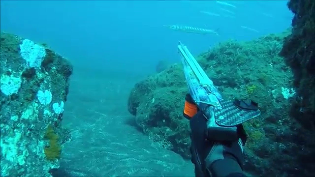 Pesca a la espera en Tenerife // Bicudas