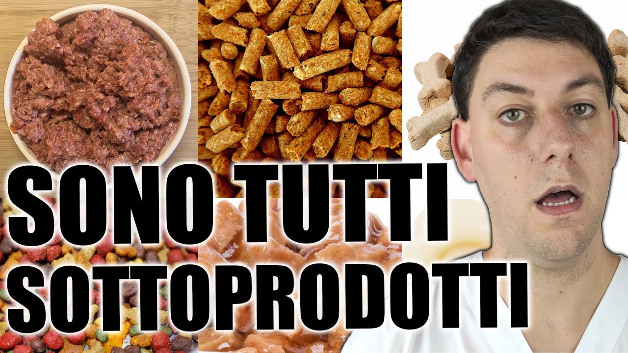 Sottoprodotti di Origine Animale: si possono EVITARE negli alimenti per cani e gatti?