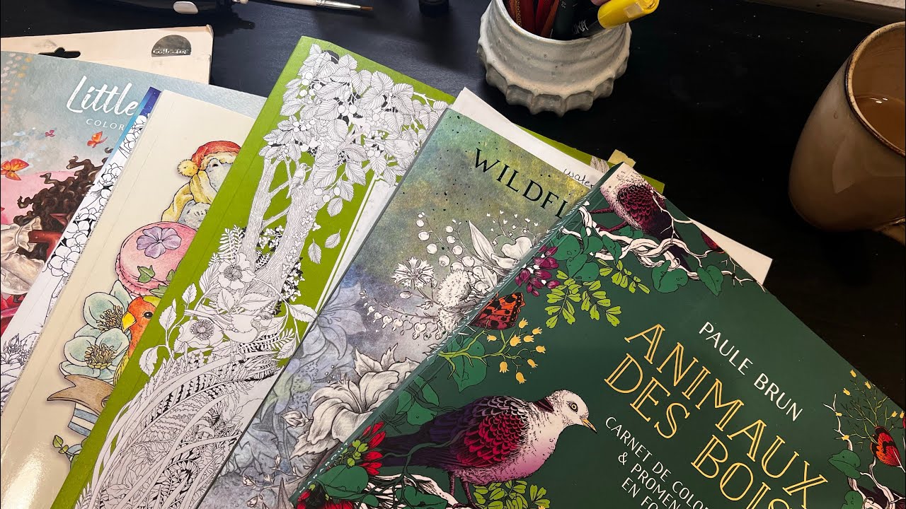 What I Colored in February | Finished Pages, WIPs & New Books
