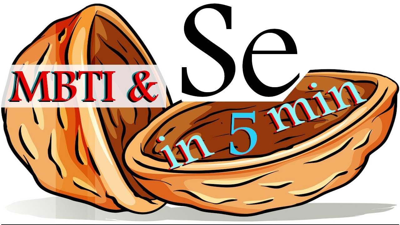 Extroverted Sensing (Se) in 5 Min.  MBTI Nutshell
