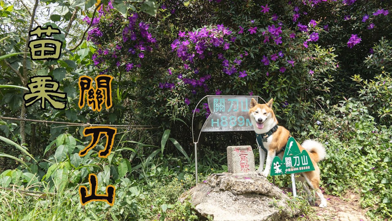 苗栗關刀山 出關古道 聖關段