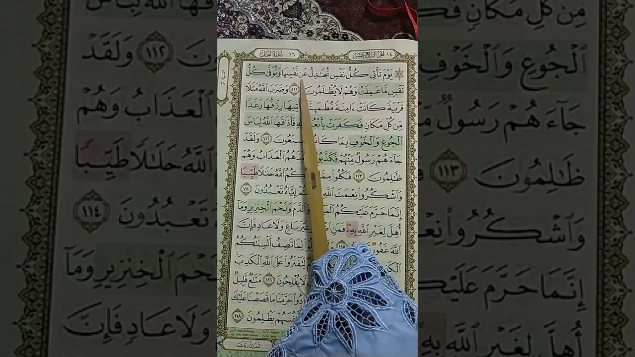 M/S 280 Mari Mengaji Surah An-Nahl (111 - 118) bersama Kak Yah