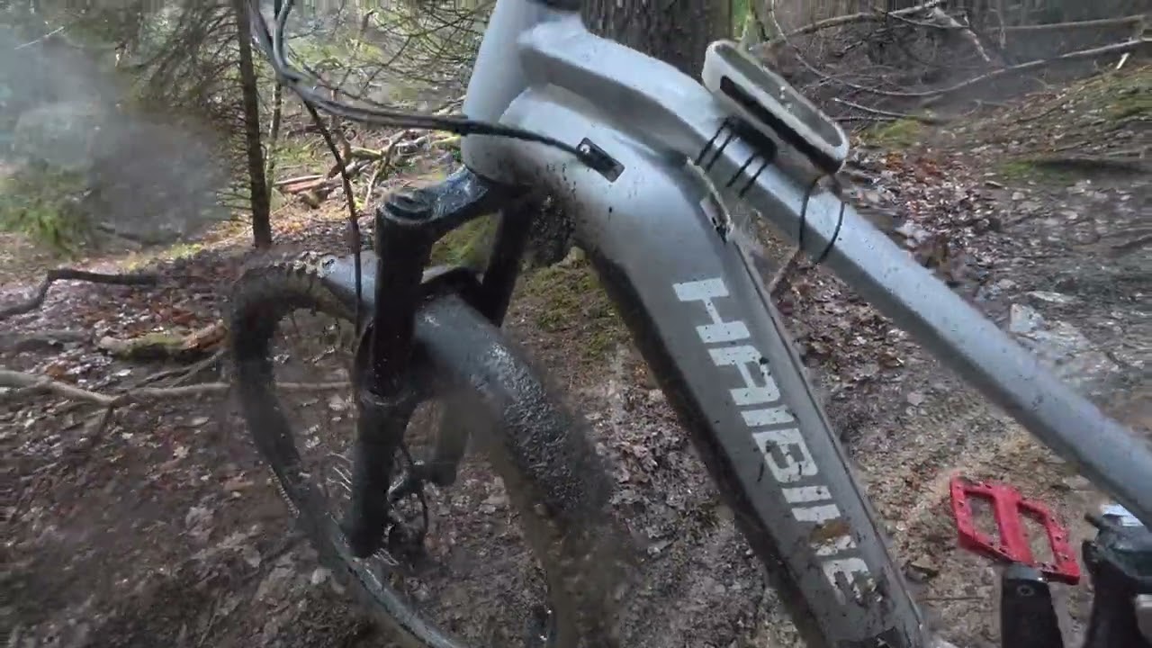 Hamsterley forest wet and wild 
