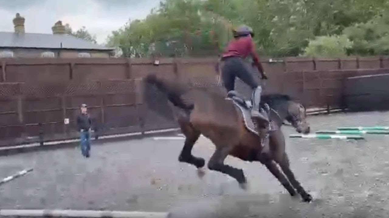 Horse's dramatic shenanigans make the rider take an unexpected dive || WooGlobe