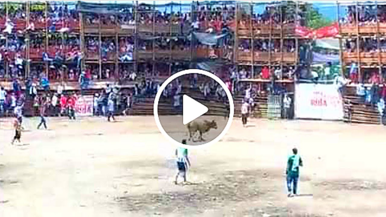 Viral Video Shows Moment before Bullfight Stadium Collapses in Colombia