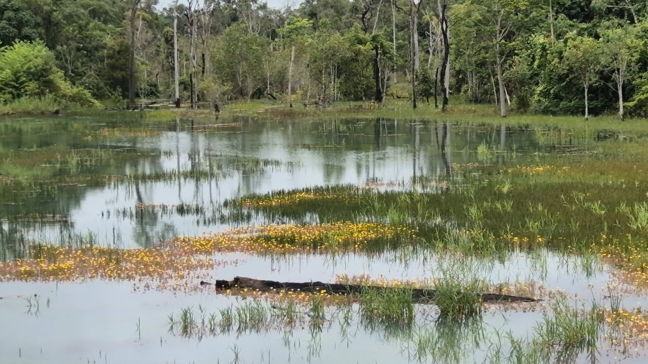 Olha que incrível esse lugar na beira da estrada MT170 !!