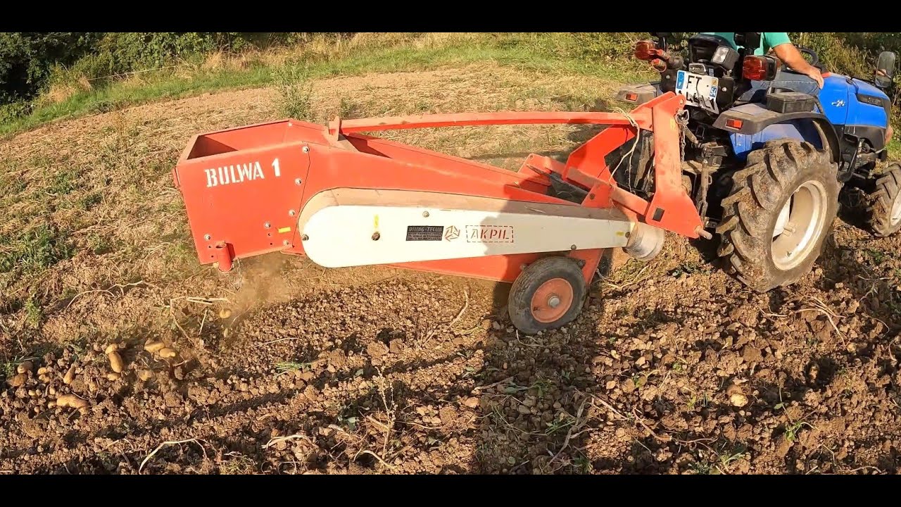 Récolte des pommes de terre 2025