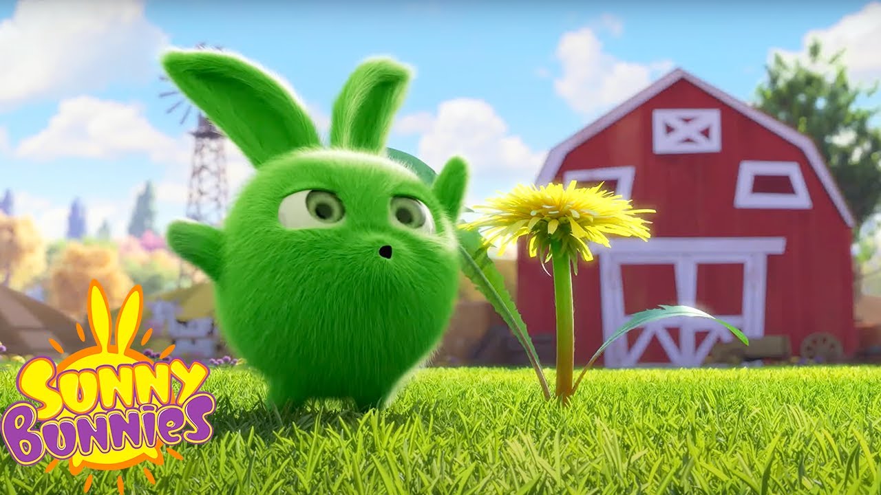 MAGICAL FLUTE - SUNNY BUNNIES | SEASON 6 MARATHON | WildBrain Zoo | Cartoons for Kids