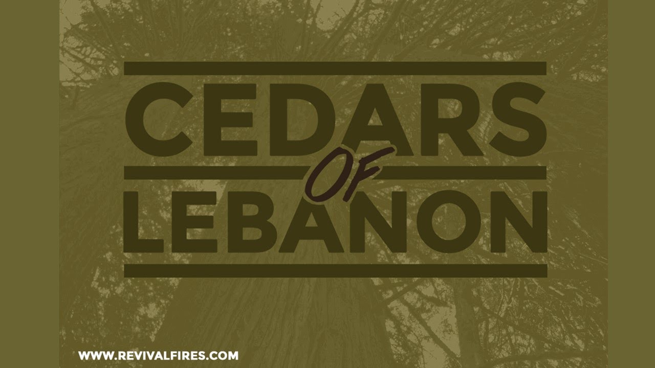 Destiny Pointe Church | Cedars of Lebanon | Dr. Tim Todd