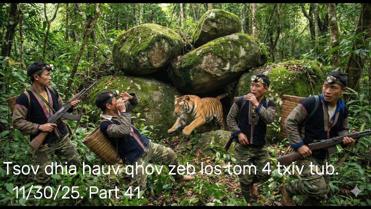 Nyiaj tuam lawv 4 txiv tub mus saib tshav nyuj raug tsov tom.