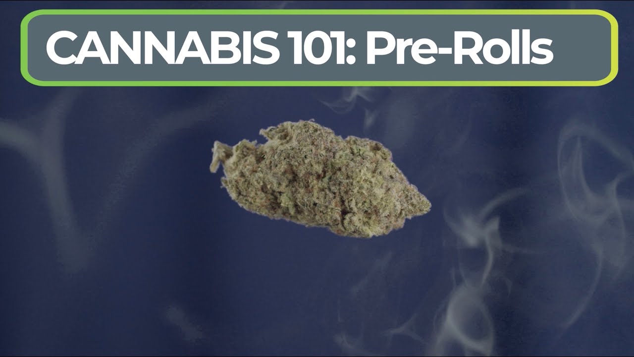 Cannabis 101: Pre-Roll Cones