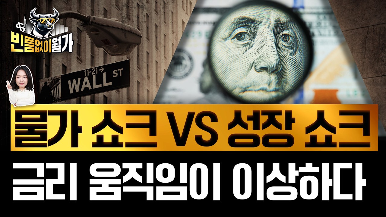 주식·국채의 불안한 동행..증시보다 무서운 금리시장 공포지수 | 지금 주가보다 중요한 지표는 | 빈난새의 빈틈없이월가