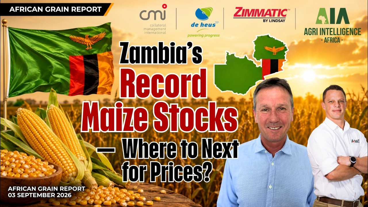 Zambia&rsquo;s Record Maize Stocks &ndash; Where to Next for Prices? | African Grains &ndash; 3 Sep 2026