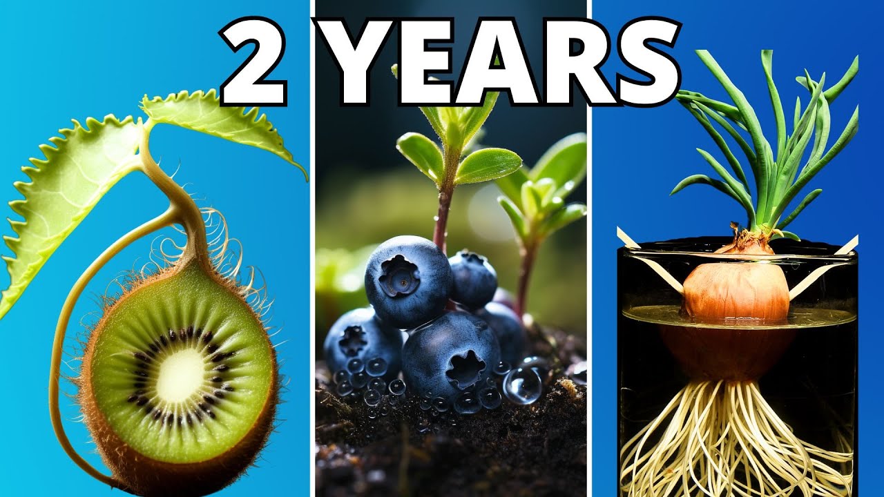 TOP 10 FASCINATING Animal & PLANT Time Lapse