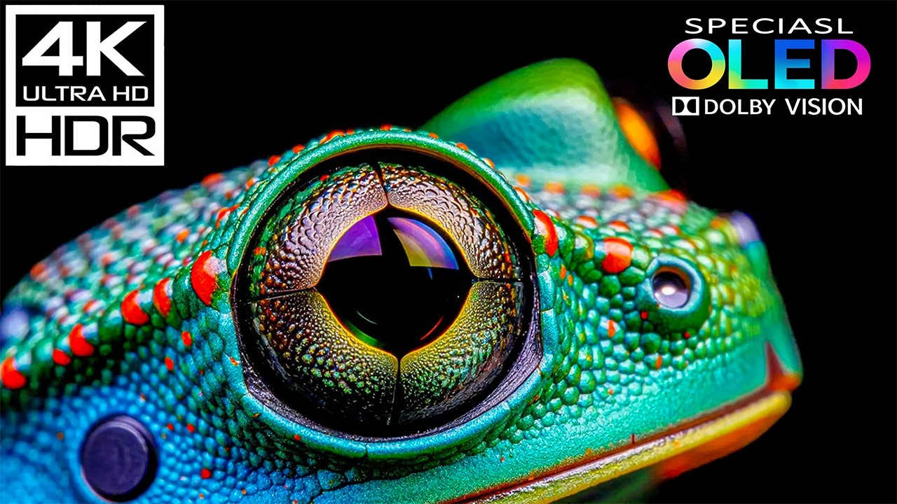 Unbelievable 8K OLED Video | 8K HDR 60FPS | Dolby Vision (8K/4K TV Test)