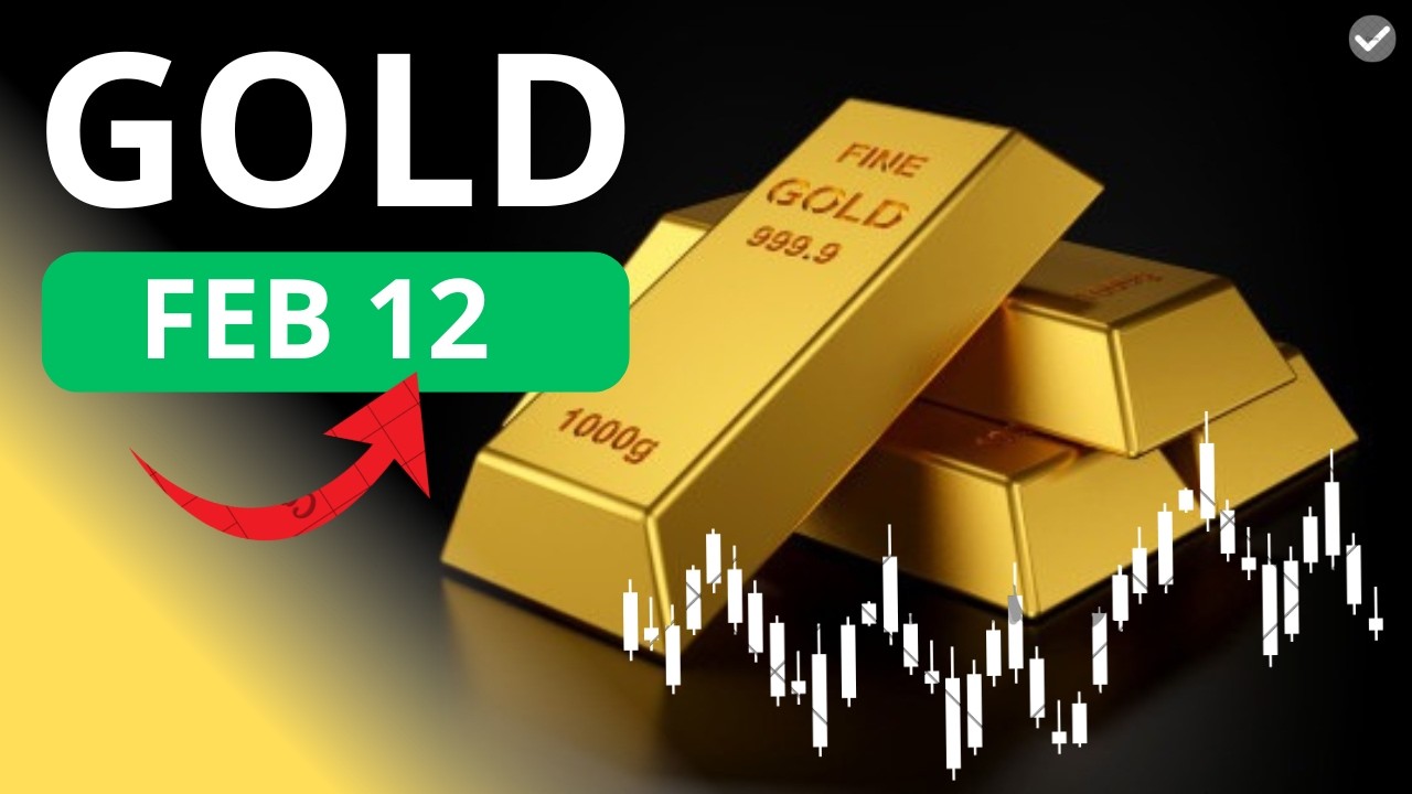 Gold Daily Analysis for February 12, 2026