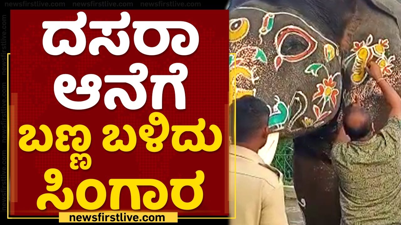 Mysuru Dasara : ಆನೆಗಳಿಗೆ ಬಣ್ಣ ಬಳಿದು ಶೃಂಗಾರ | Mysuru Dasara Elephants | NewsFirst Kannada