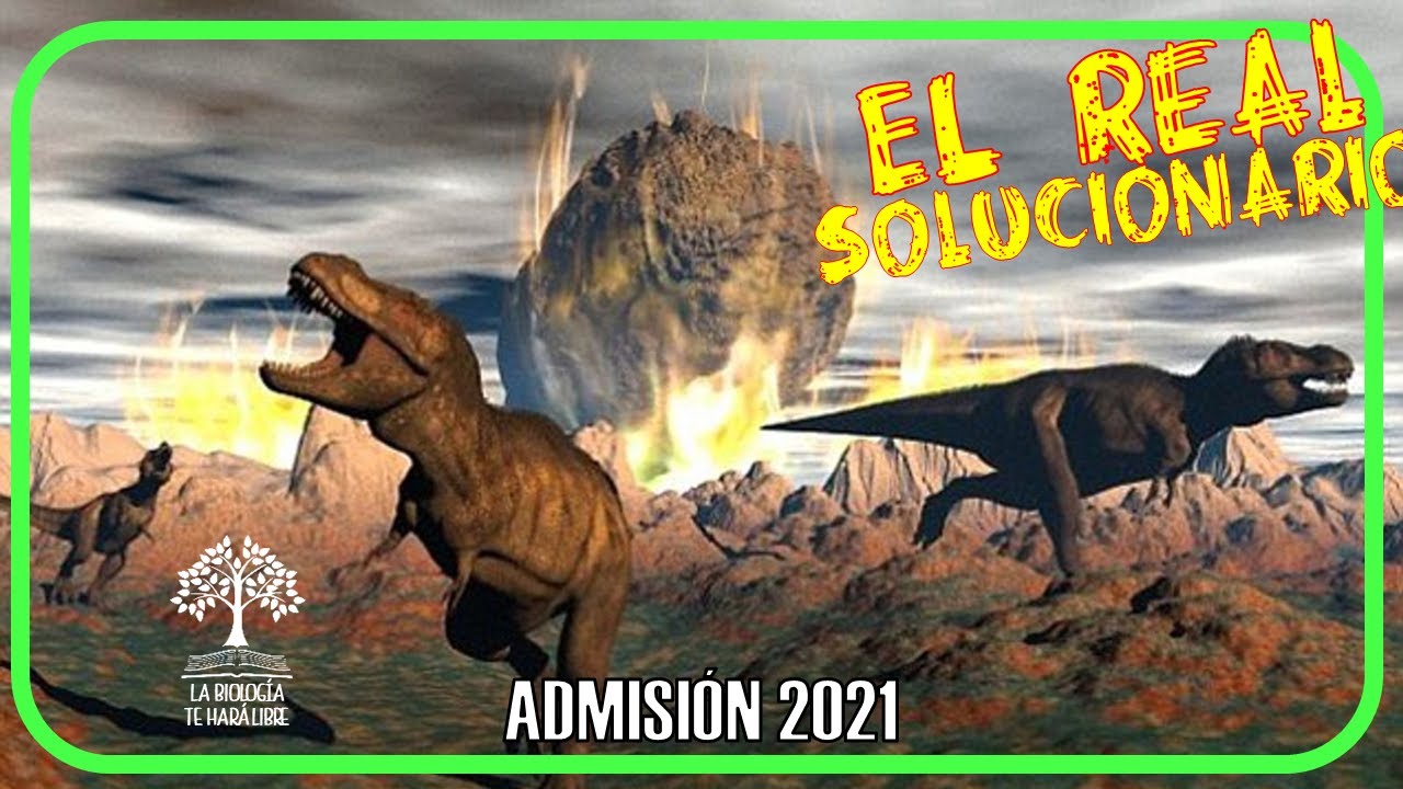 ✅ Solucionario admisi&oacute;n UNMSM 2021 | 4 de setiembre | &aacute;reas B y D