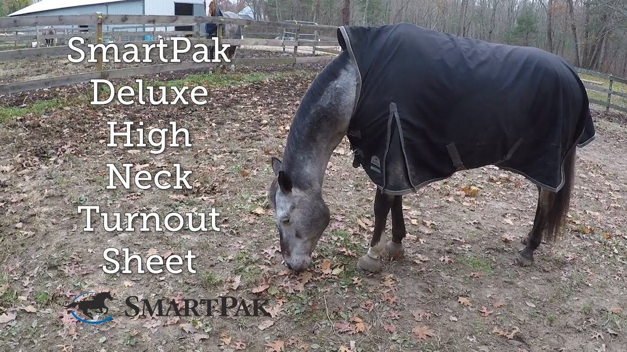 SmartPak Deluxe High Neck Turnout Sheet Review