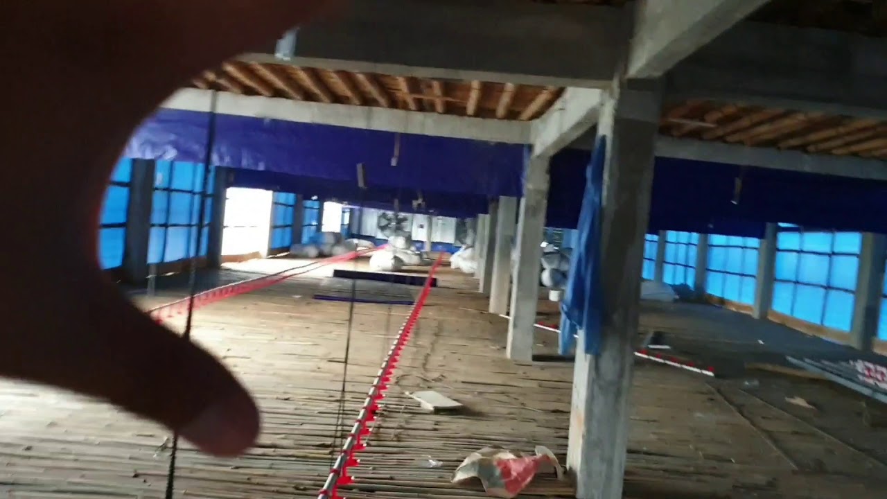 500 JUTA KANDANG AYAM BROILER CLOSE HOUSE RANGKA COR POPULASI 15 RIBU EKOR