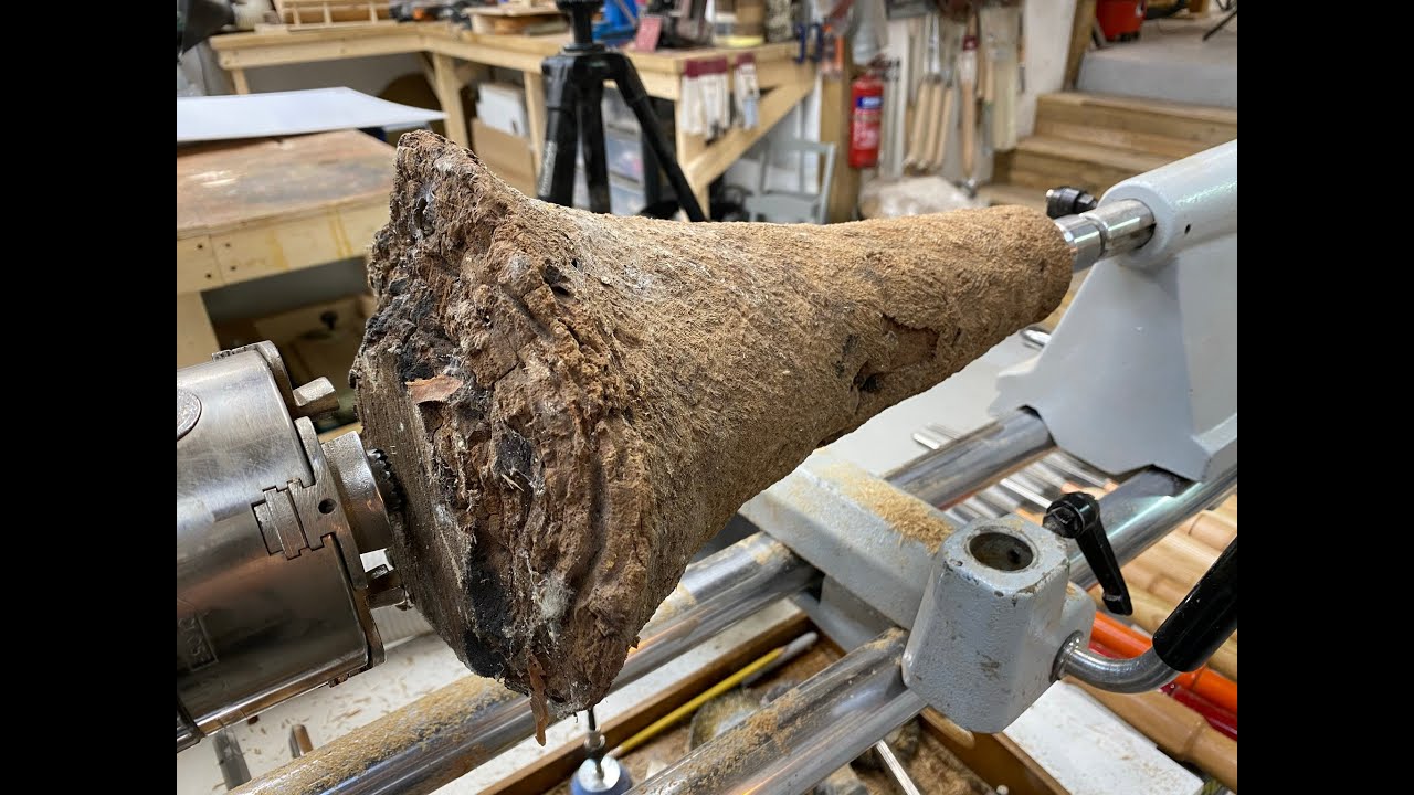 Woodturning - The Palm Tree Root !!