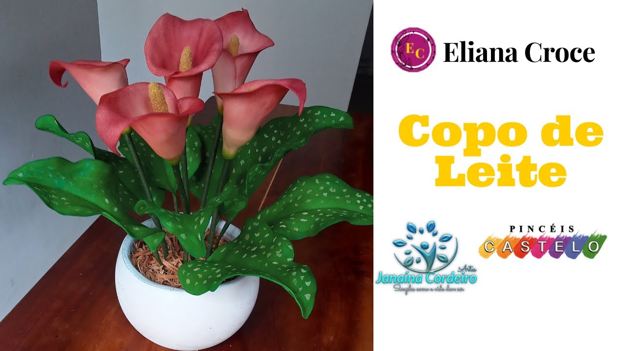 Flor copo de leite de eva