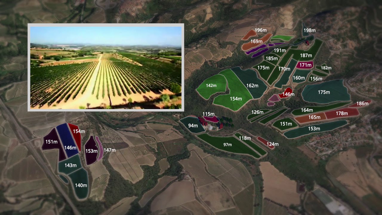 TORELL&Oacute; Can Mart&iacute; estate -  Eng