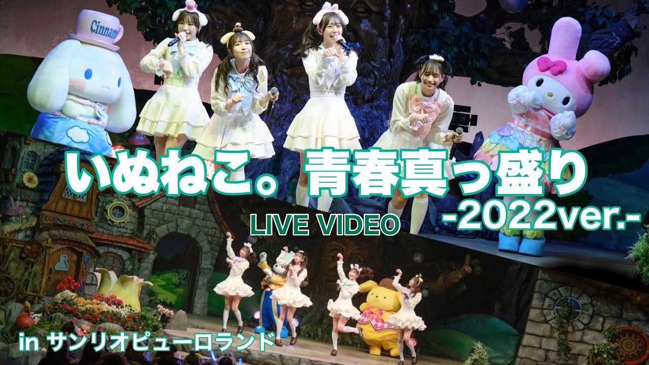 わーすた(WASUTA)「いぬねこ。青春真っ盛り-2022ver.-」Live Video